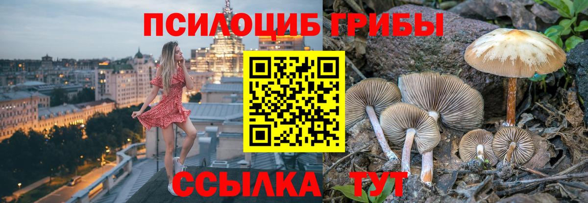 Галлюциногенные грибы мухоморы  Вход с VPN  Заринск  Галлюциногенные грибы мицелий 